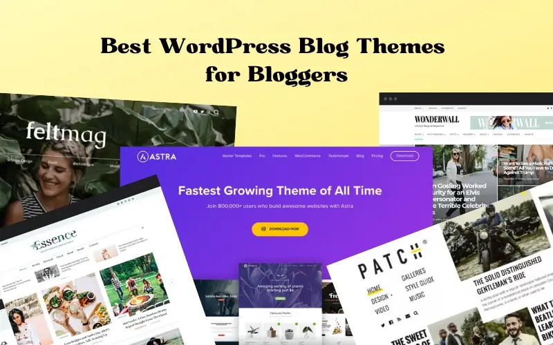 Best WordPress Blog Themes For Bloggers